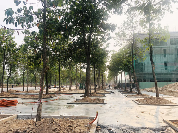 Công trình tấp nập thi công tại Artisan Park Bình Dương của Gamuda Land phát triển