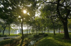 Hai thập kỷ kiến tạo không gian xanh bền vững của Gamuda Land